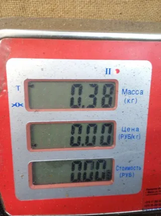 1K0121407 Бачок расширительный Volkswagen Passat B6 Арт 48533, вид 7