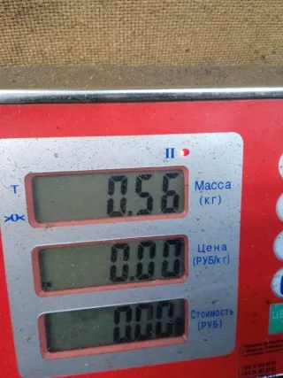 964833758003 Бачок омывателя Peugeot 207 Арт 48617, вид 5
