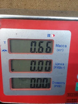  Бачок омывателя Opel Astra H Арт 49005, вид 6