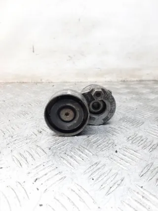 9053284628 Натяжитель ремня генератора Renault Megane 2 Арт 49468, вид 1