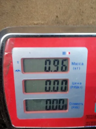 55210701 Радиатор EGR Opel Zafira B Арт 49915, вид 7