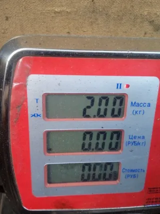 55559964 Корпус воздушного фильтра Saab 9-3 1 Арт 50449, вид 6