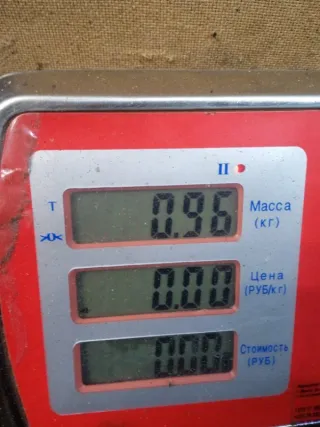 0281033357 Блок управления двигателем Renault Trafic 3 Арт 51556, вид 7