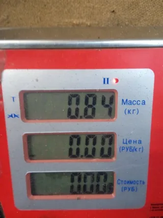 3C0937049H Блок комфорта Volkswagen Passat B6 Арт 51571, вид 7