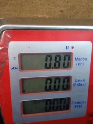 4M5112A650HJ Блок управления двигателем Ford Focus 2 Арт 51904, вид 7