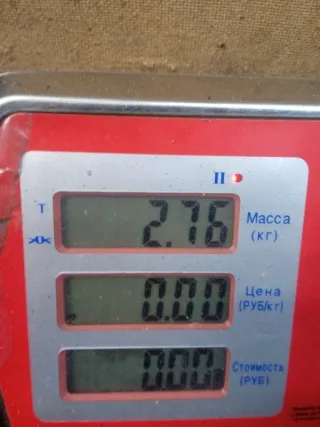 A1698202661 Фара правая Mercedes B W245 Арт 52204, вид 7