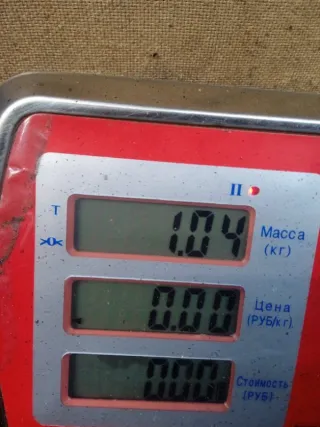 8200584034 Топливная рампа Nissan Note E11 Арт 52747, вид 7