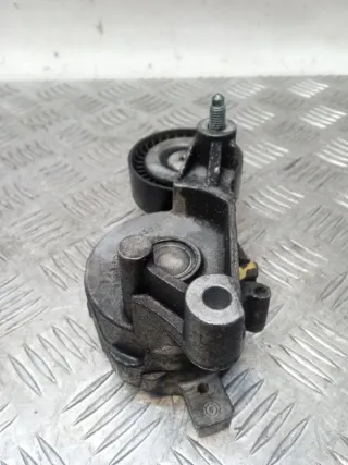 03G903315 Натяжитель ремня генератора Volkswagen Touran 1 Арт 52921, вид 4