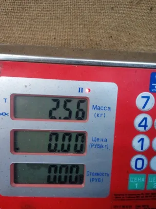 0265216895 Блок ABS Honda Civic 5 Арт 53339, вид 5