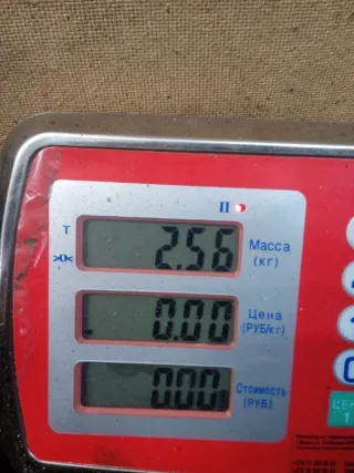 0265216895 Блок ABS Honda Civic 3 Арт 53365, вид 8
