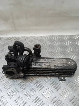 036131513 Радиатор EGR Volkswagen Golf 5 Арт 54797, вид 1