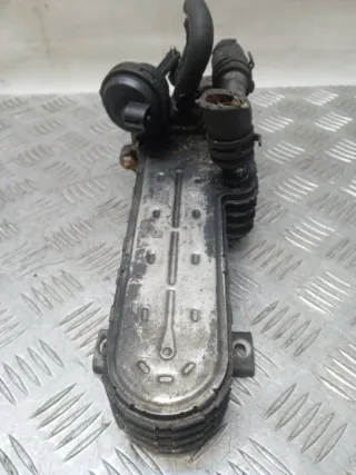 036131513 Радиатор EGR Volkswagen Golf 5 Арт 54797, вид 3