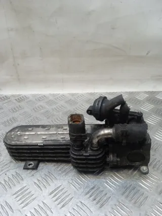 036131513 Радиатор EGR Volkswagen Golf 5 Арт 54797, вид 4