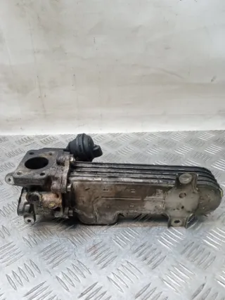 036131513 Радиатор EGR Volkswagen Golf 5 Арт 54797, вид 6
