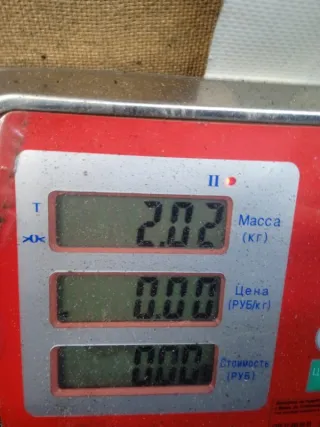 036131513 Радиатор EGR Volkswagen Golf 5 Арт 54797, вид 7