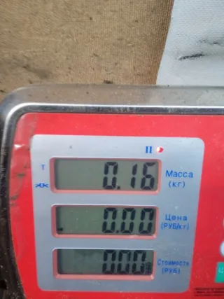 4M5T14A664AB Шлейф руля Ford Focus 2 Арт 54842, вид 7