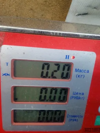 2M5T13N064AB Шлейф руля Ford Focus 1 Арт 55291, вид 7