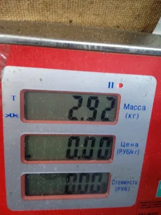 10096001273 Блок ABS Ford Focus 2 restailing Арт 55661, вид 7
