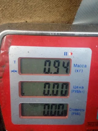 7M5T14A073CF Блок предохранителей Ford Focus 2 restailing Арт 56292, вид 7