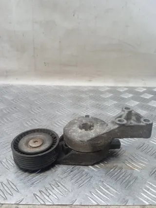 06A903315E Натяжитель ремня генератора Skoda Octavia A4 Арт 59088, вид 1