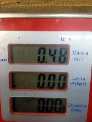 XS4ULD Заслонка дроссельная Ford Focus 1 Арт 59467, вид 7