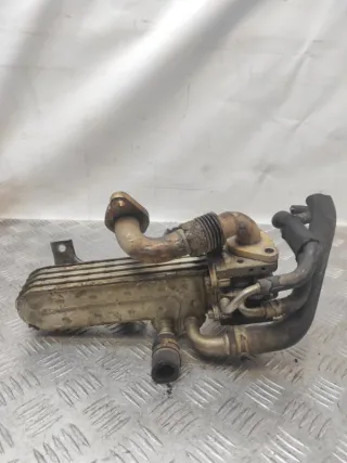 038131513AD Радиатор EGR Volkswagen Passat B6 Арт 61463, вид 1