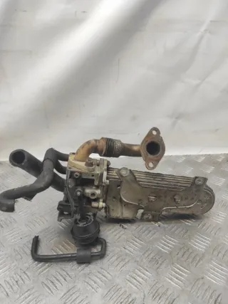 038131513AD Радиатор EGR Volkswagen Passat B6 Арт 61463, вид 3