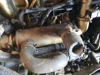 G8DB Двигатель Ford Focus 2 restailing Арт 65981, вид 10