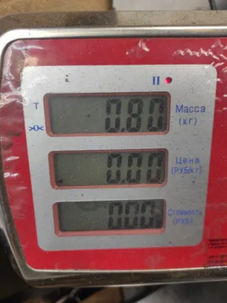 0281010859 Блок управления двигателем Opel Astra H Арт 68688, вид 7