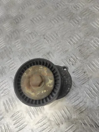 lat030145299f Натяжитель ремня генератора Seat Ibiza 3 Арт 71999, вид 1