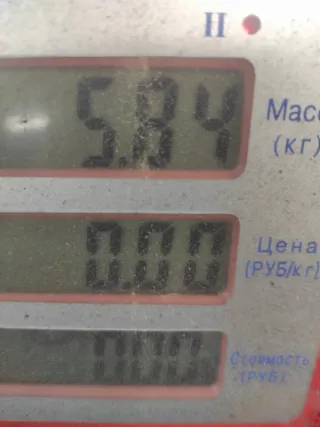 037903025M Генератор Seat Ibiza 3 Арт 73366, вид 6