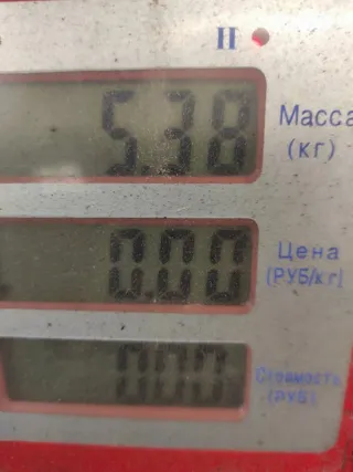 1K0820859F Компрессор кондиционера Volkswagen Passat B6 Арт 73767, вид 6