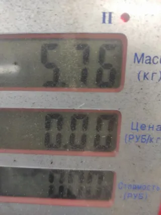 13335251 Компрессор кондиционера Opel Astra J Арт 73959, вид 8