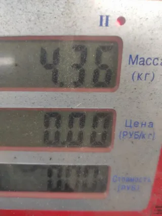 2280004961 Стартер Rover 45 Арт 74061, вид 7