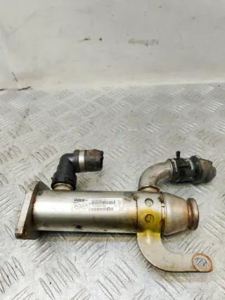 9645689780 Радиатор EGR Ford Focus 2 Арт 74632, вид 1