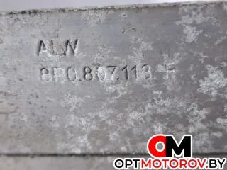 8P0807113F передняя панель (телевизор) Audi A3 8P Арт 32543, вид 1