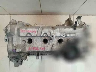 h4md,1010201q2k двигатель Nissan Terrano 3 Арт 146490887, вид 5