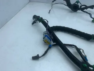 100442500H Проводка двери задней левой Tesla model S Арт 100350, вид 2