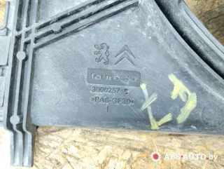 3000257C,9687386780 Вентилятор радиатора Citroen C5 2 Арт 59854432, вид 5