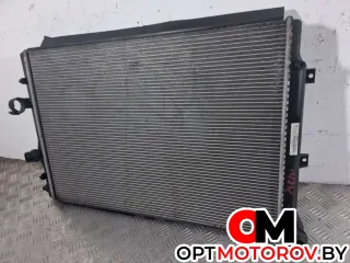 5N0121253P радиатор основной Volkswagen Tiguan 1 Арт 31350, вид 1