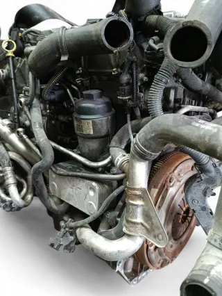 Y20DTH Двигатель Opel Astra G Арт 105663730, вид 8