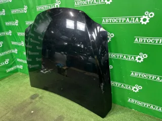 53301-53041 Капот Lexus IS 3 Арт CP18782, вид 6