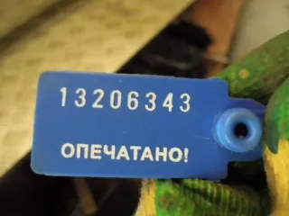  Усилитель бампера переднего Audi A3 8P Арт 48653, вид 7
