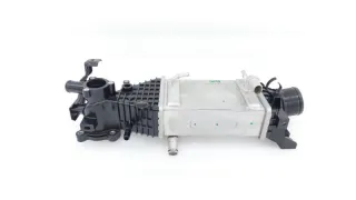 D20T0141360, 1119600A01 Интеркулер Changan UNI-K Арт ST260240, вид 1