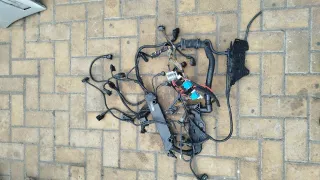 779648903 Проводка двигателя BMW 5 E60/E61 Арт 94858783, вид 1