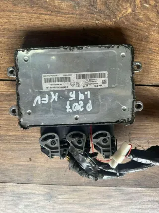  Блок управления двигателем Peugeot 207 Арт 494981499