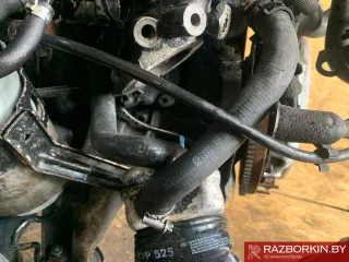 1Z Двигатель Volkswagen Passat B5 Арт W1132, вид 5