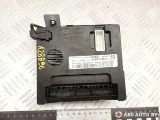 954002B810 Блок управления центральным замком Hyundai Santa FE 2 (CM) Арт A28896, вид 1
