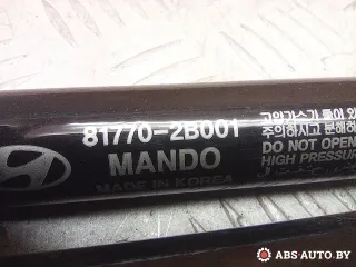 817702B001 Амортизатор крышки багажника (3-5 двери) Hyundai Santa FE 2 (CM) Арт A28794_1, вид 5