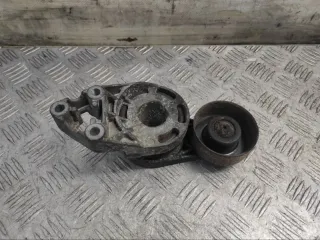 038903315e Натяжитель ремня генератора Volkswagen Golf 4 Арт 89314, вид 1